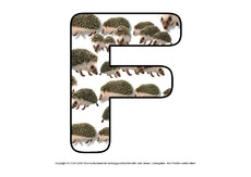 Igelbuchstaben-F.pdf